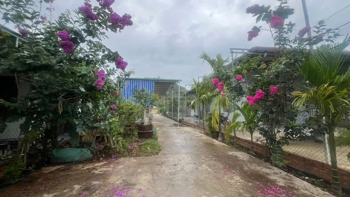 Bán Đất 797.7m2 có sẵn 60 m2 thổ cư giá 3.6 tỷ tại Xã Dang Kang Huyện Krông Bông Đắk Lắk