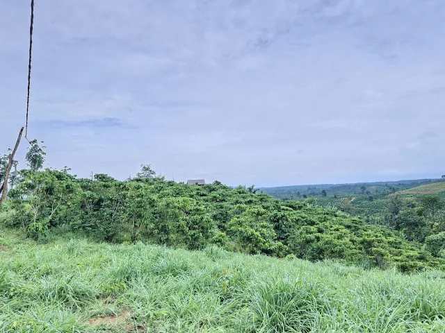 Bán rẫy 2.7sào liên hệ : 0977.56.1904 Thu Hà