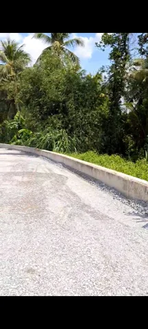 Bán Đất 5089m2 có sẵn 300 m2 thổ cư giá 68.9 tỷ tại Đường Đê Bao Nhị Bình 22 Xã Nhị Bình Huyện Hóc Môn TP. Hồ Chí Minh