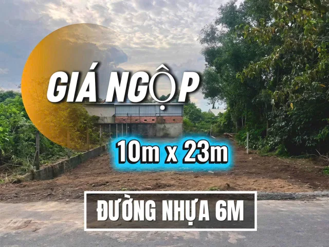 GIÁ NGỘP – CƠ HỘI CHỐT NHANH TRONG TUẦN