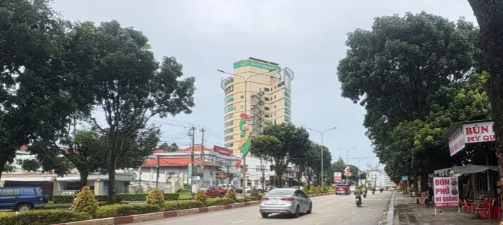 Bán Đất 314m2 có sẵn 300 m2 thổ cư giá 5.5 tỷ tại Đường Lê Duẩn - Chọn - Phường Pleiku Gia Lai