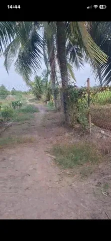 Bán Đất vườn ( sầu riêng), xã Mỹ hạnh đông , tx Cai lậy , Tiền Giang