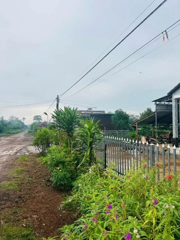 Bán Đất 241.1m2 có sẵn 60 m2 thổ cư giá 299 triệu tại Xã Cư M'gar Huyện Cư M'gar Đắk Lắk