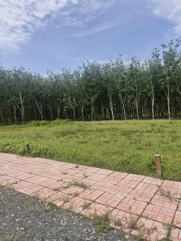 Bán Đất 151.3m2 có sẵn 151.3 m2 thổ cư giá 650 triệu tại Xã Thạnh Đức Huyện Gò Dầu Tây Ninh