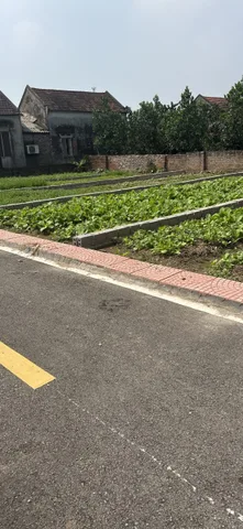 Bán Đất 65m2 có sẵn 65 m2 thổ cư giá 1.8 tỷ tại Xã Đông Tảo Huyện Khoái Châu Hưng Yên