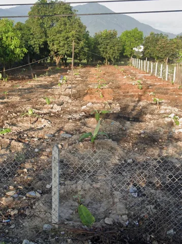 Bán Đất 300m2 (trồng cây lâu năm) giá 2.7 tỷ tại Xã Suối Hiệp Huyện Diên Khánh Khánh Hòa