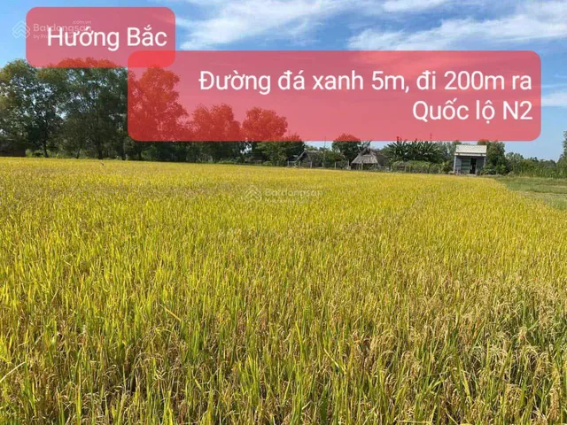 CHÍNH CHỦ BÁN 1000M2 ĐẤT SẴN SỔ 2 MẶT TIỀN TẠI HÒA KHÁNH TÂY-ĐỨC HÒA