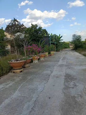 Bán đất KDC Hòa Khánh Nam 📌📌📌Làm việc trực tiếp giá tốt !!!