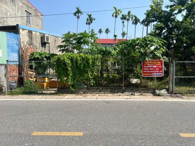 Bán Đất 69.8m2 giá 2.95 tỷ tại mặt đường 203  Lâm Động kinh doanh buôn bán .l/h:076.231.9990 e Thúy