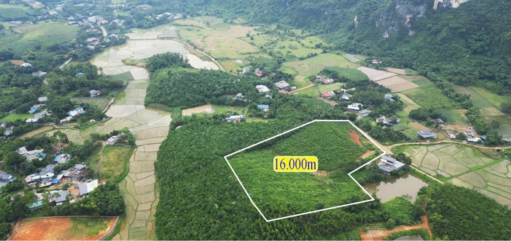 🔥 CHỈ 300K/M² – SỞ HỮU NGAY 1,6HA ĐẤT GIÁP KHU NGHỈ DƯỠNG CAO CẤP TẠI KIM BÔI! 💥