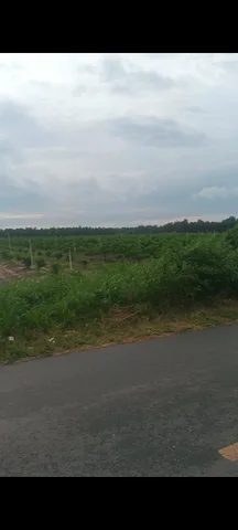 8.600M² ĐẤT GIÁ CHỈ 600 TRIỆU/1.000M² – HÀNG ĐẦU TƯ ĐÁNG XEM
📍 Vị trí: khu vực An Ngãi – Long Điền, Bà Rịa – Vũng Tàu