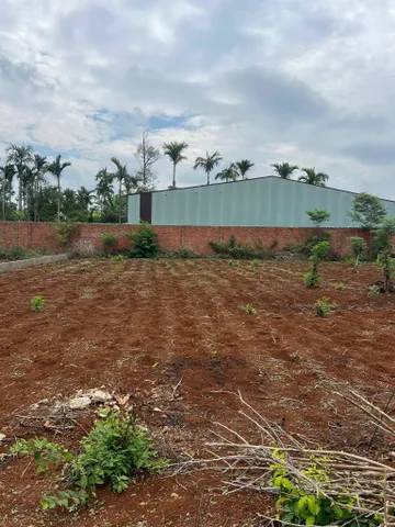 Bán Đất 180m2 có sẵn 65 m2 thổ cư giá 650 triệu tại Xã Cuor Đăng Huyện Cư M'gar Đắk Lắk