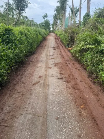Bán Đất 565.5m2 giá 379 triệu tại Xã Pơng Drang Huyện Krông Búk Đắk Lắk