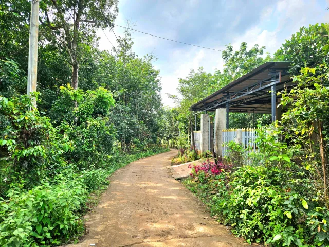 Bán Đất 179m2 có sẵn 100 m2 thổ cư giá 290 triệu tại Xã An Khương Huyện Hớn Quản Bình Phước