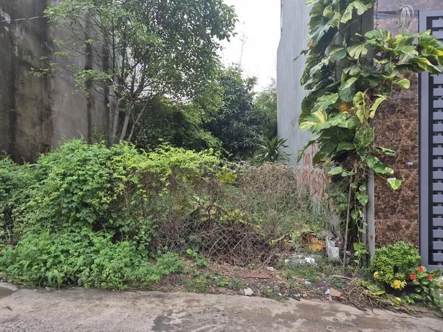 ĐẦU TƯ SINH LỜI - CHÍNH CHỦ CẦN BÁN Lô Đất Đường Nguyễn Khuyến, Phường Trảng Dài, Biên Hòa, Đồng Nai