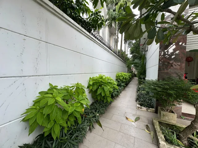 BDS HVL CHO THUÊ BIỆT THỰ ĐƠN LẬP – KDC GIA HÒA, KHANG ĐIỀN, QUẬN 9 CŨ