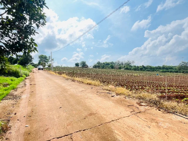 Bán Đất 300m2 có sẵn 200 m2 thổ cư giá 499 triệu tại - Chọn - Xã Phúc Thọ Lâm Hà Lâm Đồng
