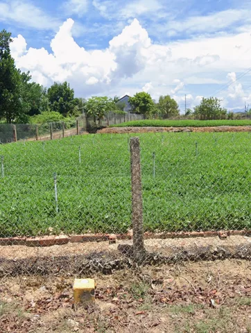 Bán Đất 269.5m2 có sẵn 50 m2 thổ cư giá 1.75 tỷ tại Xã Vạn Hưng Huyện Vạn Ninh Khánh Hòa