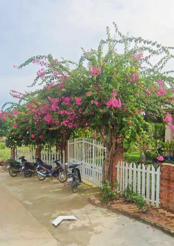 Nhà vườn 888m² siêu xinh tại Bình Lập , chuẩn nghỉ dưỡng - bám đường ô tô vi vu ( đia ra biển hơn 300m ). Giá 5.7ty