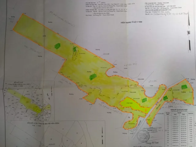 Bán Đất 31000m2 giá 64 tỷ tại Đường Bờ Bao HTX Phong Phú Xã Phong Phú Huyện Bình Chánh TP. Hồ Chí Minh