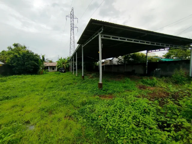 Cho thuê Đất 1300m2 có sẵn 100 m2 thổ cư giá 7.5 triệu tại Thị trấn Mỏ Cày Huyện Mỏ Cày Nam Bến Tre