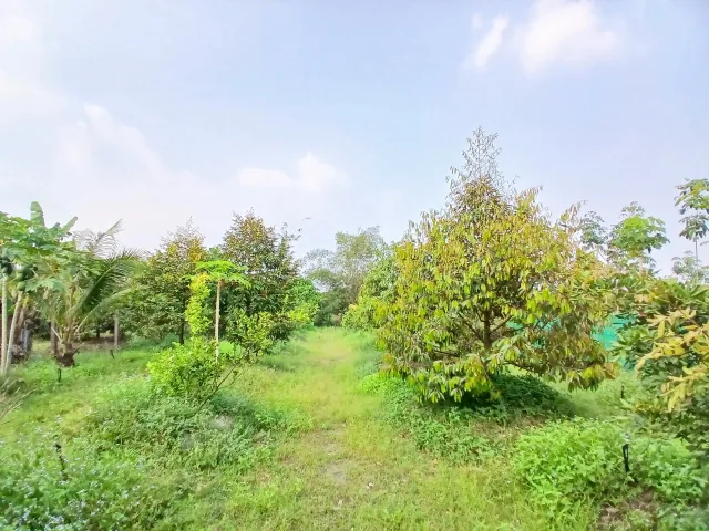Bán Đất 1000m2 có sẵn 100 m2 thổ cư giá 480 triệu tại Xã Minh Lập Thị xã Chơn Thành Bình Phước