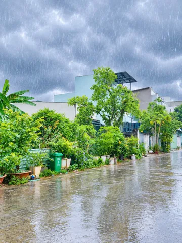 Đất mặt tiền kinh doanh - diện tích 9,5M*20M - full thổ cư- Cách mặt tiền đường Lê văn Lương chỉ 50m - Nhơn Đức - Nhà Bè - tp.HCM - Giá 6,6 tỷ