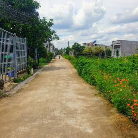 Bán Đất 722m2 có sẵn 722 m2 thổ cư giá 7.95 tỷ tại Xã Hựu Thạnh Huyện Đức Hòa Long An