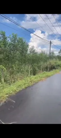 Bán Đất 1755m2 giá 4 tỷ tại Xã Sông Nhạn Huyện Cẩm Mỹ Đồng Nai