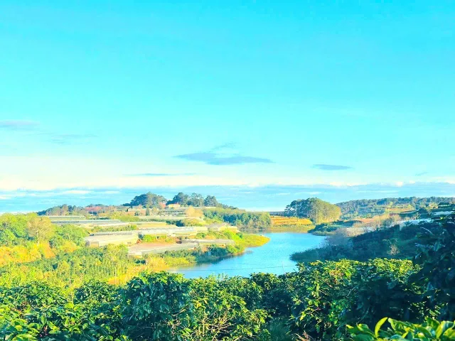 BÁN ĐẤT VIEW HỒ PHÁT CHI & ĐỒI MAI ANH ĐÀO – XUÂN TRƯỜNG, ĐÀ LẠT