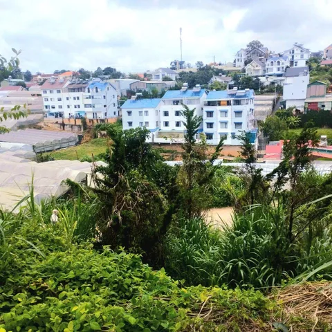 BÁN ĐẤT VIEW TRỊNH HOÀI ĐỨC, P11, ĐÀ LẠT – SỔ RIÊNG THỔ CƯ