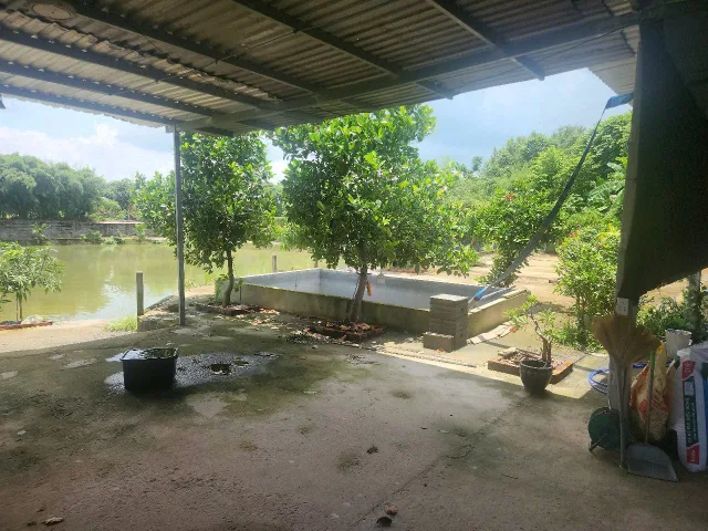 Bán Đất 10000m2 có sẵn 1 m2 thổ cư giá 9 tỷ tại Đường Bàu Công Xã Tân Mỹ Huyện Đức Hòa Long An