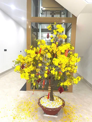 💎 CHO THUÊ MẶT BẰNG TẦNG TRỆT + TẦNG 1 MẶT TIỀN BIỆT CHÍNH, P.10 – 80M²/TẦNG – 12 TRIỆU/TẦNG 💎