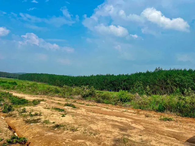 CHO THUÊ 18 HA ĐẤT QUY HOẠCH TRANG TRẠI NẤM CÔNG NGHỆ CAO TẠI GIA LAI 🍄