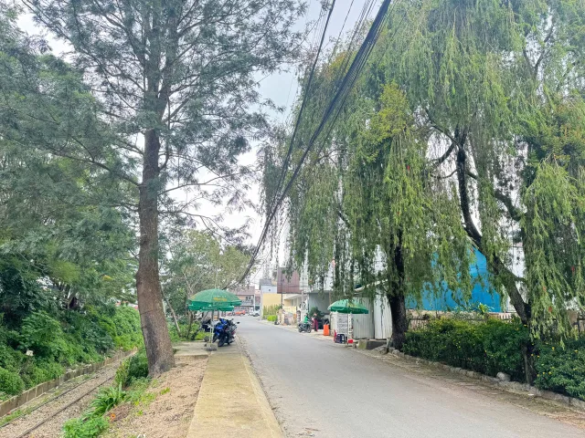 Bán Đất 650m2 có sẵn 650 m2 thổ cư giá 40 tỷ tại Đường Trần Quý Cáp Phường 9 Thành phố Đà Lạt Lâm Đồng
