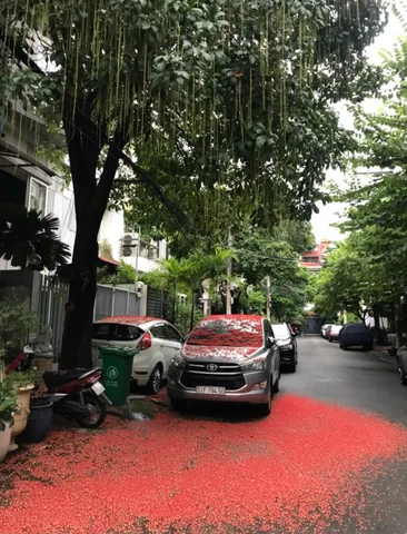 Bán Nhà Khu HaDo Villas Đường Sư Vạn Hạnh Phường 12 Quận 10, Ngang 6x18