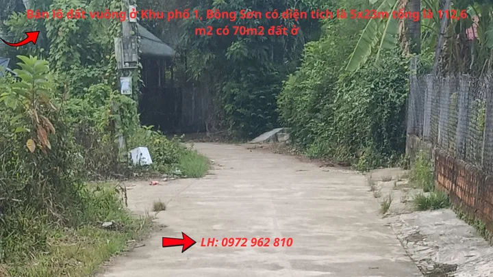 Bán Đất 112.6m2 có sẵn 70 m2 thổ cư giá 580 triệu tại Đường Nguyễn Khuyến Thị trấn Bồng Sơn Thị xã Hoài Nhơn Bình Định