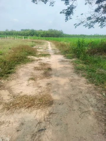 Bán Đất 176m2 có sẵn 60 m2 thổ cư giá 130tr tại Xã Tân Phong Huyện Tân Biên Tây Ninh