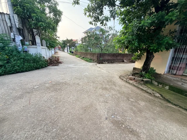 CỰC PHẨM, CD QUÁN TRẠCH- VĂN GIANG, ĐẤT PHÂN LÔ ĐƯỜNG RỘNG 5 M, CẠNH KHU ĐẤU GIÁ, CHỈ 39 TRIỆU/M.