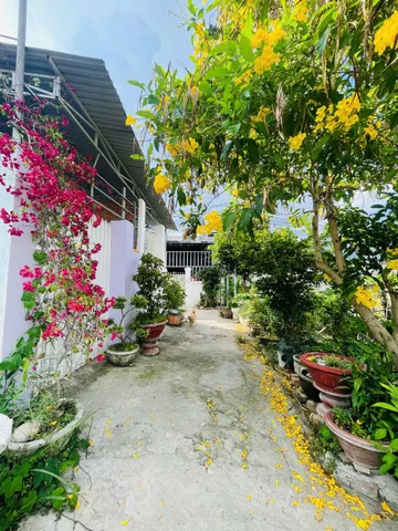 Bán Đất 78.3m2 có sẵn 60 m2 thổ cư giá 1.25 tỷ tại Vĩnh Điềm Thượng Xã Vĩnh Hiệp Thành phố Nha Trang Khánh Hòa