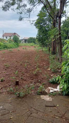 Bán Đất 391m2 có sẵn 200 m2 thổ cư giá 1.5 tỷ tại Thị trấn Cửa Tùng Huyện Vĩnh Linh Quảng Trị