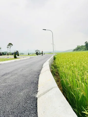 🔥 **HƠN 200 TRIỆU SỞ HỮU ĐẤT FULL THỔ CƯ – BA HÀNG ĐỒI** 🔥