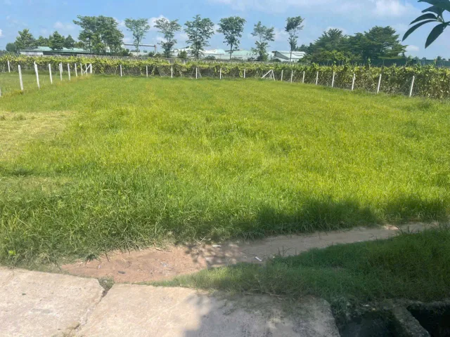Đất 1/ đường 698 - 810m2 - 20x40 - 40m2 thổ cư - xã Thái Mỹ - Củ Chi