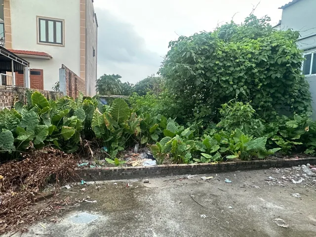 Bán Tòa nhà - Building 103m2 có sẵn 103 m2 thổ cư giá 1.05 tỷ tại Xã Song Liễu Huyện Thuận Thành Bắc Ninh