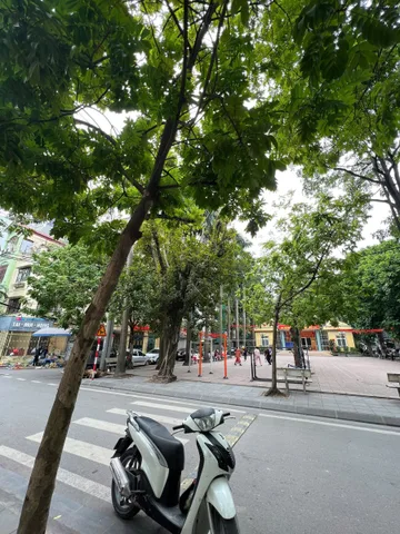 🏡 NGỤY NHƯ KON TUM – NGUYỄN TUÂN – THANH XUÂN – NHÀ PHÂN LÔ 4 TẦNG – 6PN – 15 TRIỆU/THÁNG