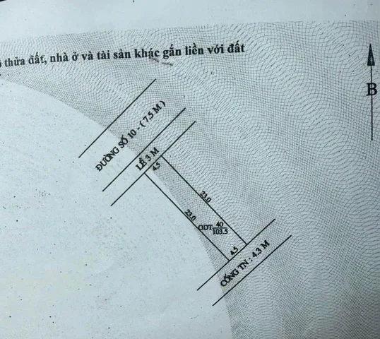Bán NỀN THỬA 40 KHU DÂN CƯ DIỆU HIỀN.