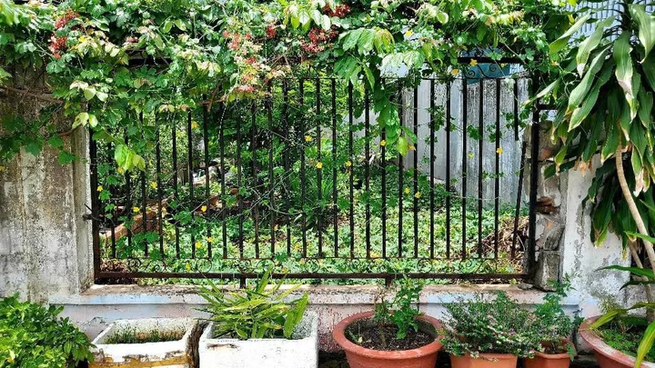 Bán Đất 74m2, giá 5.99 tỷ tại Đường 160, PHƯỜNG TĂNG NHƠN PHÚ A (CŨ) Phường Tăng Nhơn Phú A Quận 9 TP. Hồ Chí Minh