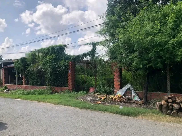 Bán đất 25x30 thổ cư 300m²
Giá 180tr/m ngang
Bán hết
