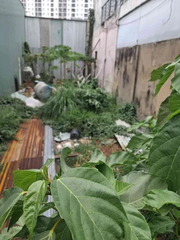 [DP140*] Lô Đất Mặt Tiền Sát Chợ Lạc Quang 86m2 Nở Hậu Giá 8.x Tỷ