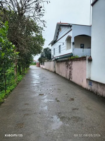Bán Đất 183.4m2 có sẵn 183.4 m2 thổ cư giá 6 tỷ tại Thôn Đình Tổ Xã Đại Đồng Huyện Văn Lâm Hưng Yên